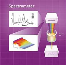 BMG LabTech Plate Readers equipped with a UV/Vis Spectrometer