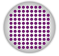 Well scanning mode of BMG LabTech Plate Readers