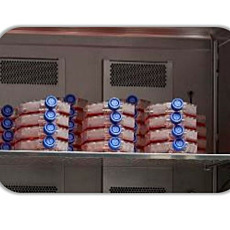 Heratherm CO2 Chambers Applications by Thermo Fisher Scientific, 750L