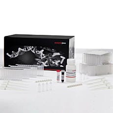 innuPREP Nucleic Acid Isolation Kits by Analytik Jena