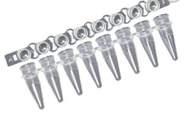 Strips; PCR, 8 tubes, Dome caps, MTC Bio