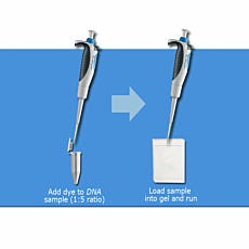 SmartGlow Nucleic Acid Loading Dye from Benchmark Scientific