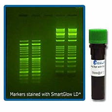 SmartGlow Nucleic Acid Stain