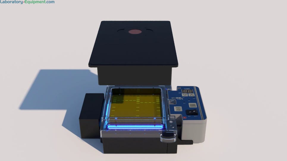InstaView™ Electrophoresis Systems for real time viewing of DNA separation