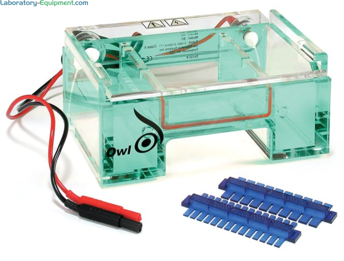 Benchmark Scientific E1101 myGel Mini Electrophoresis System, Includes gel  box, power supply, 1 System/Unit