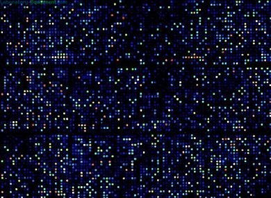 Provide a comprehensive solution for cDNA synthesis from mRNA or bacterial mRNA templates. | 3033-61 displayed