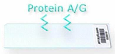 All substrate slides are compatible with a variety of Arrayit instruments, tools and consummables  |  3031-64-B displayed