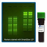 SmartGlow Pre-stain for nucleic acid gels, 1ml