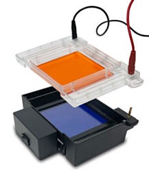 Gel Imaging System; MyGel InstaView™, Gel Tank, Blue LED Illuminator, 230 V, E1200-E, Accuris Instruments