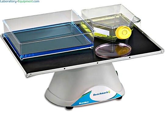 BlotBoy 3D Rocker by Benchmark Scientific with a 12" x 12" platform ideal for blot washes and gel staining/de-staining | 2810-01 displayed