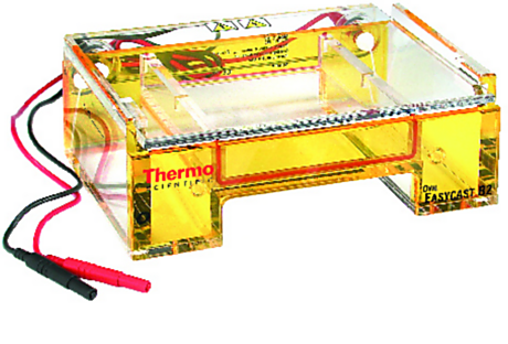 Owl EasyCast B2 Mini Gel Horizontal Electrophoresis by Thermo Scientific