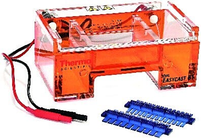 Owl EasyCast B1 Mini Gel Horizontal Electrophoresis by Thermo Scientific