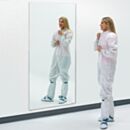 Mirror; BioSafe®, 36