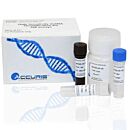 Consumables, High Sensitivity dsDNA Quantification Kit, 100 Assays, Accuris, F1000-HS-100