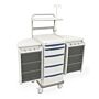 Antimicrobial biomedical cart by Intermetro with right and left swingout pods with drawers and dividers  |  1306-86 displayed