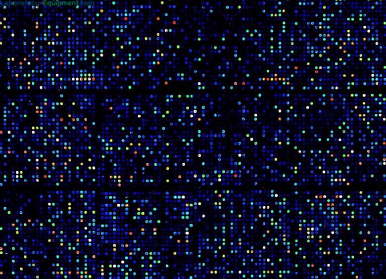 Generates high quality fluorescent cDNA probe mixtures from mRNA | 3033-56 displayed