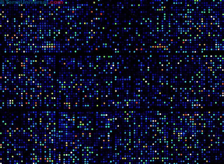 Increases yield with optimized reactions with unique additives | 3033-58 displayed