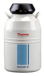 Thermo Scientific Bio-Cane20 Cryogenic Storage 20 L CK509X2