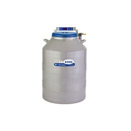 IC Biomedical Cryogenic Storage (w/ racks, w/o boxes), 165 L LS6000