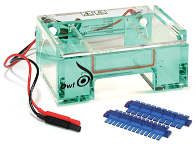 Electrophoresis system includes two double sided 10/14 Well, combs, UVT gel tray, lid and power supply; B1-BP model with two buffer exchange ports  |  