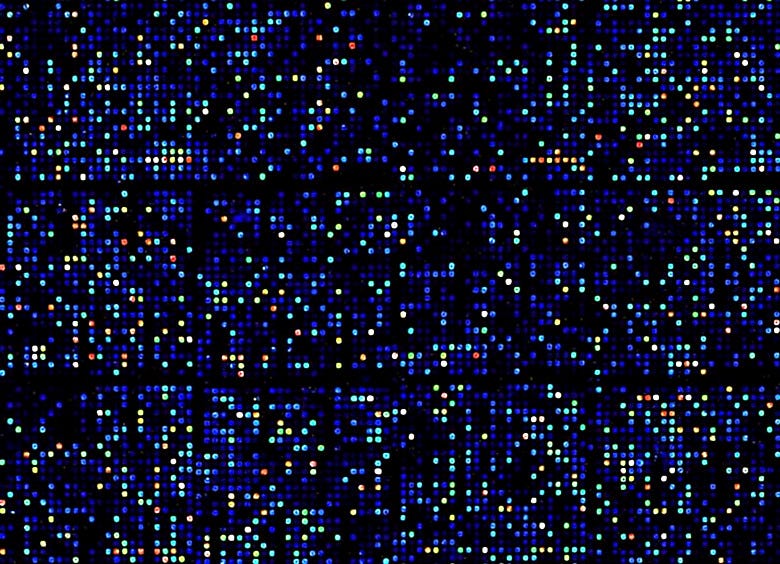 Generates high quality fluorescent cDNA probe mixtures from mRNA | 3033-56 displayed