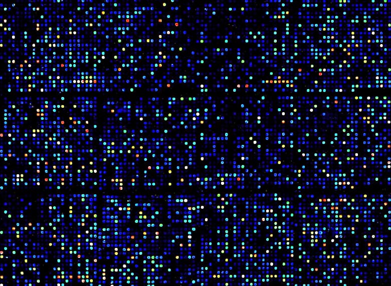 Increases yield with optimized reactions with unique additives | 3033-58 displayed
