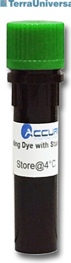 #E4500-LD replaces ethidium bromide in agarose and gel electrophoresis  |  2808-11 displayed