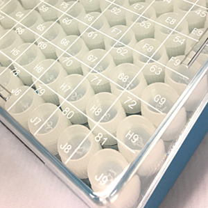 Cryogenic Storage; 81-Place Box, Polycarbonate, Hinged lid, MTC Bio