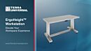 Work Station; BioSafe® ErgoHeight™, 304 Stainless Steel, Solid Top, 60