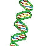 DNA photo