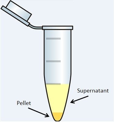Centrifuge tube showing separation 