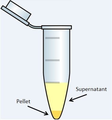 centrifuge tube pellet