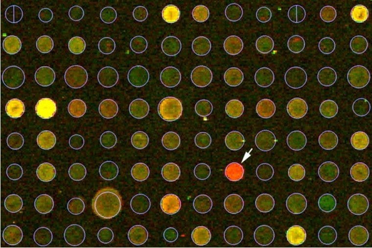 Microarray slide analysis